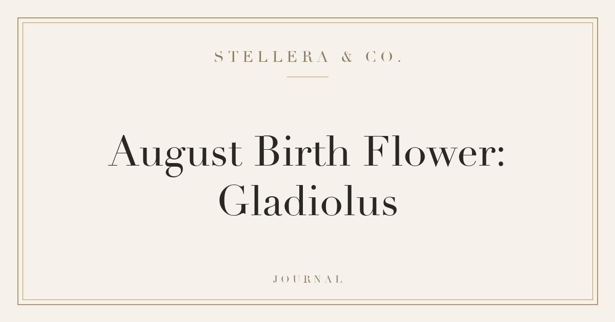 August Birth Flower: Gladiolus — Stellera & Co.