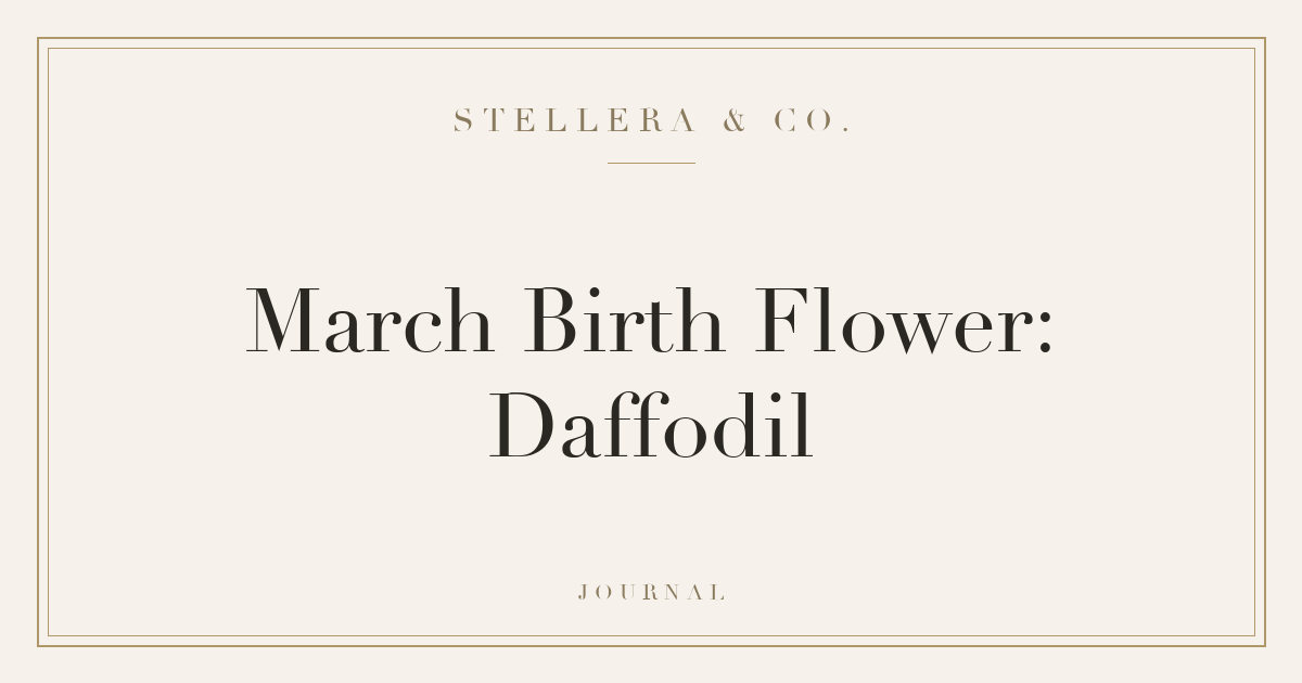 March Birth Flower: Daffodil — Stellera & Co.