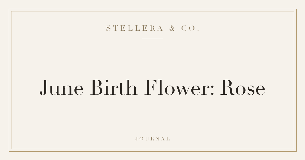 June Birth Flower: Rose — Stellera & Co.