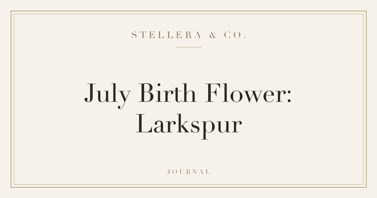 July Birth Flower: Larkspur — Stellera & Co.