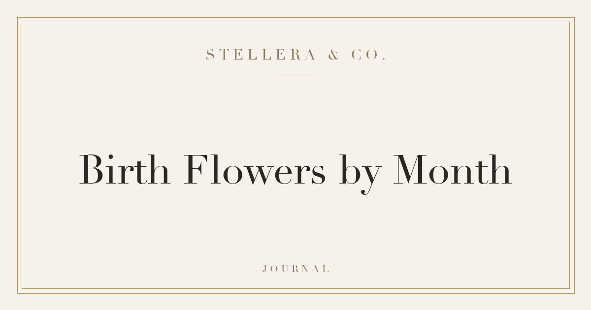Birth flowers by month guide — Stellera & Co.