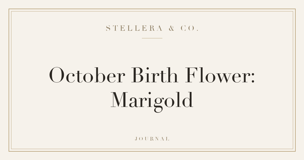 October Birth Flower: Marigold — Stellera & Co.