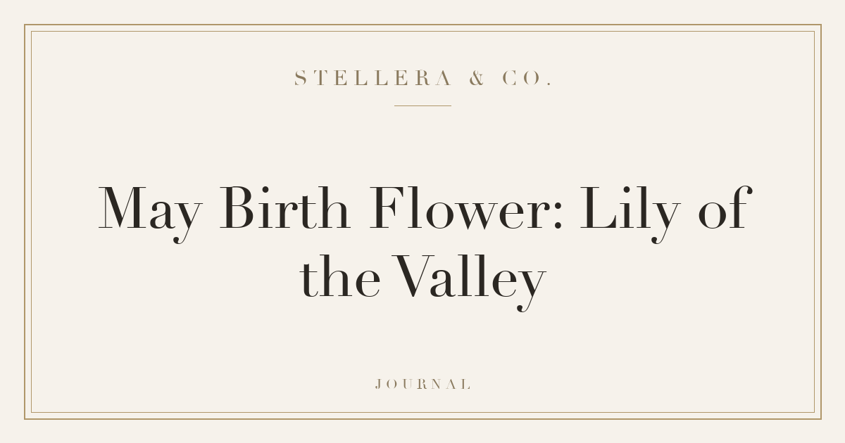 May Birth Flower: Lily of the Valley — Stellera & Co.