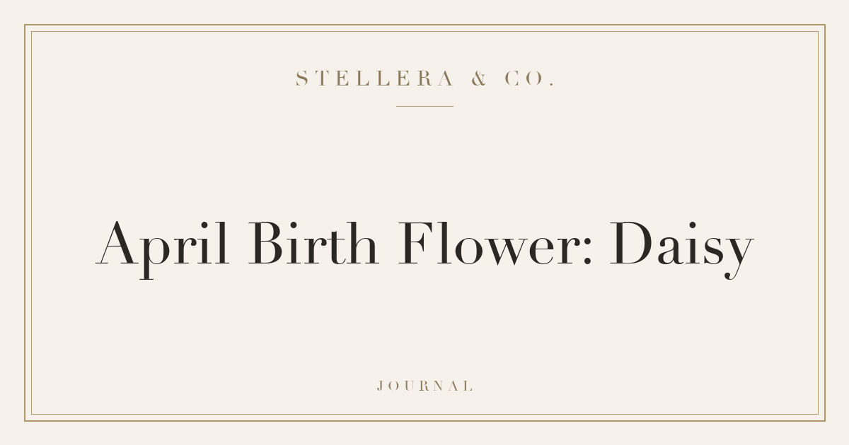April Birth Flower: Daisy — Stellera & Co.