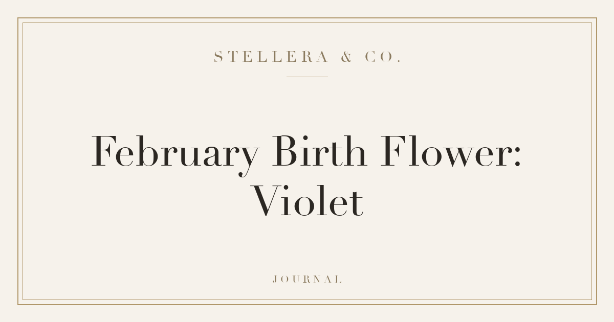 February Birth Flower: Violet — Stellera & Co.