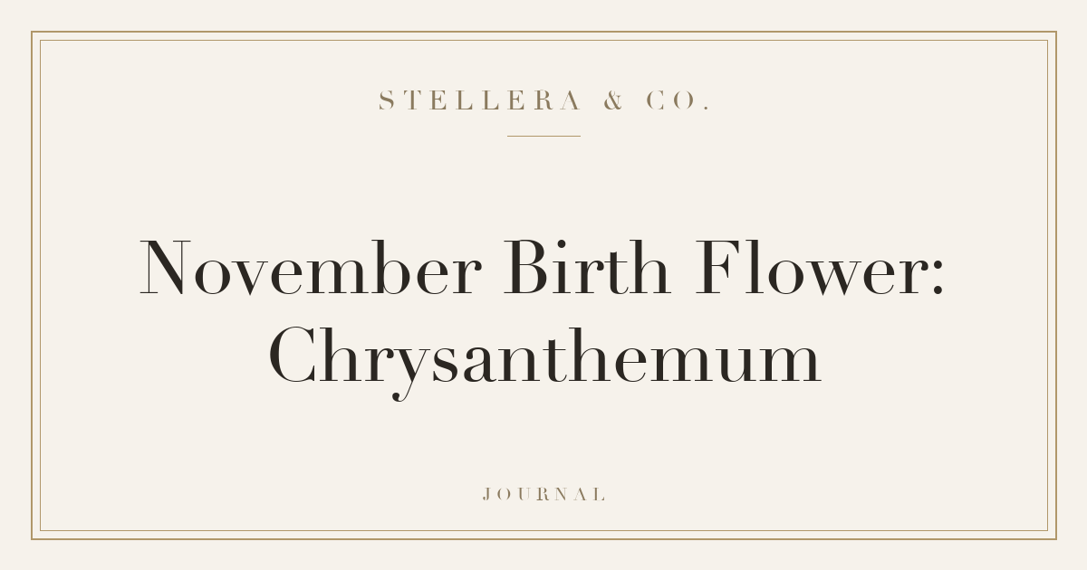 November Birth Flower: Chrysanthemum — Stellera & Co.